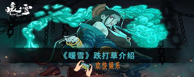 暖雪跌打草怎么样