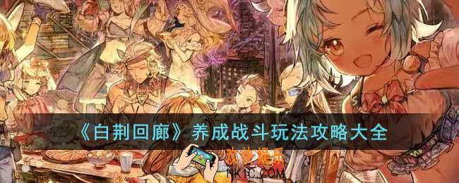 白荆回廊养成战斗玩法怎么样