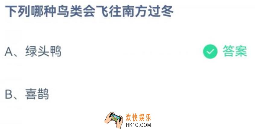 下列哪种鸟类会飞往南方过冬