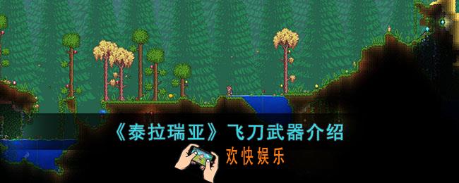 泰拉瑞亚飞刀怎么样