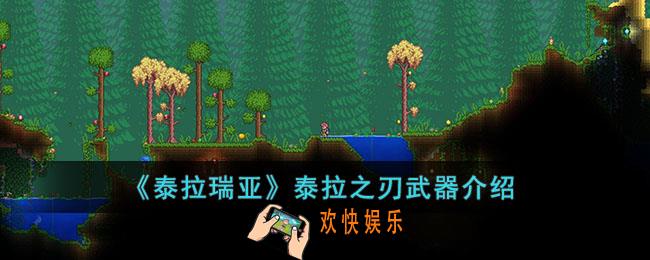 泰拉瑞亚泰拉之刃怎么样