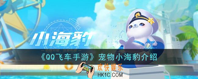 QQ飞车手游宠物小海豹怎么样