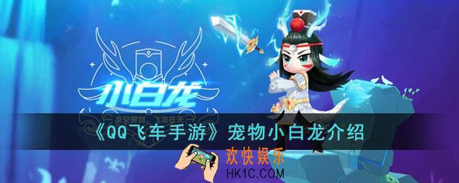 QQ飞车手游宠物小白龙怎么样