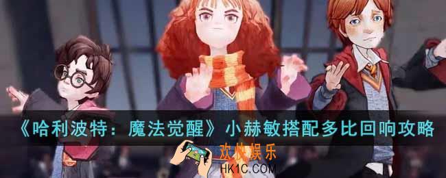 哈利波特魔法觉醒赫敏伙伴卡怎么搭配