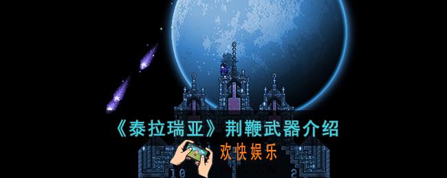 泰拉瑞亚荆鞭怎么样