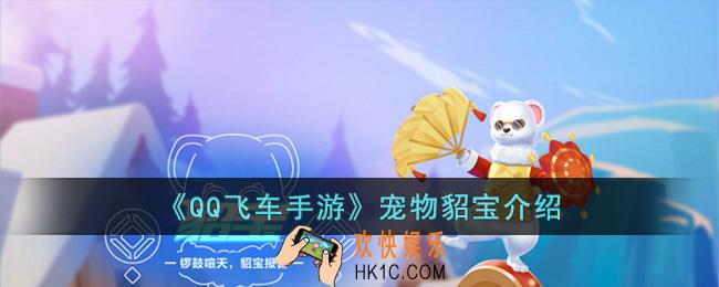 QQ飞车手游宠物貂宝怎么样
