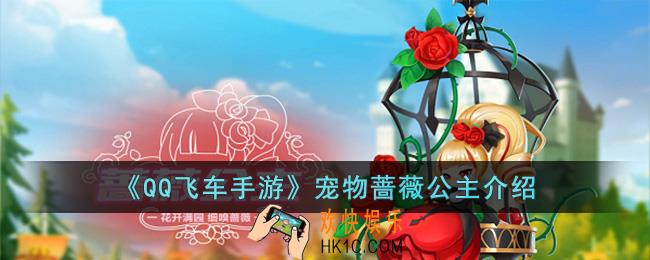 QQ飞车手游宠物蔷薇公主怎么样