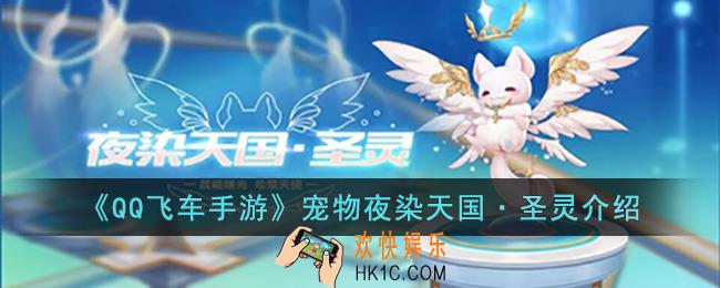 QQ飞车手游宠物夜染天国·圣灵怎么样