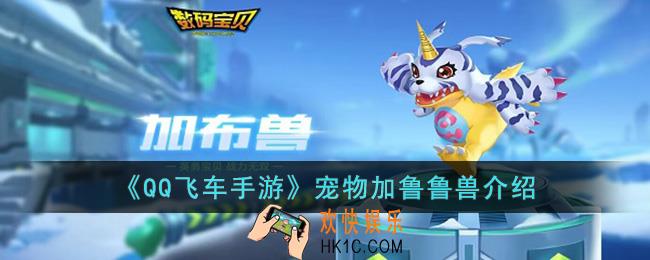 QQ飞车手游宠物加鲁鲁兽怎么样