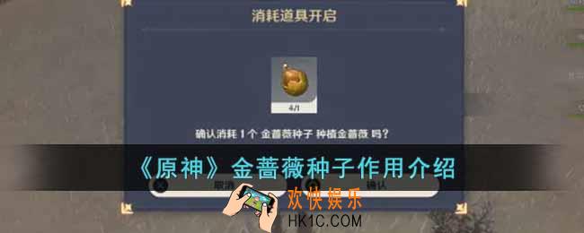 原神金蔷薇种子有什么用