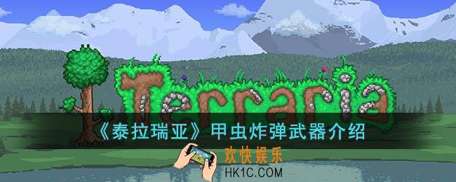 泰拉瑞亚甲虫炸弹怎么样