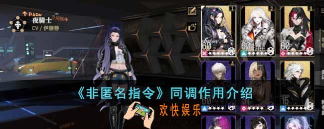 非匿名指令同调是什么意思