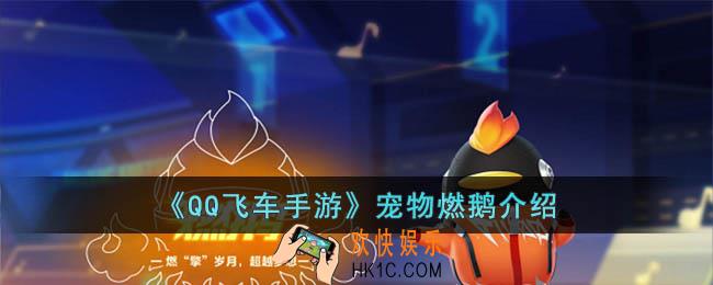 QQ飞车手游宠物燃鹅怎么样