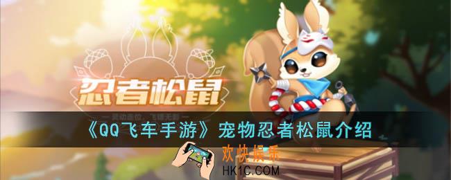 QQ飞车手游宠物忍者松鼠怎么样
