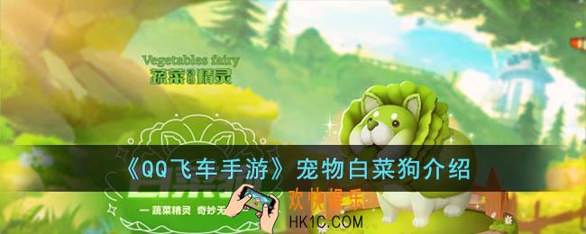 QQ飞车手游宠物白菜狗怎么样
