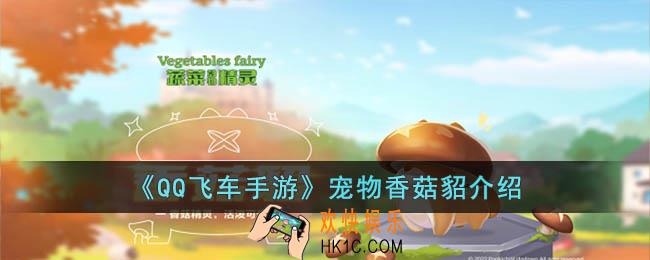 QQ飞车手游宠物香菇貂怎么样