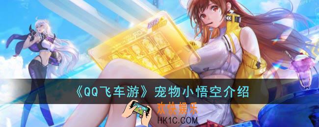 QQ飞车手游宠物小悟空怎么样