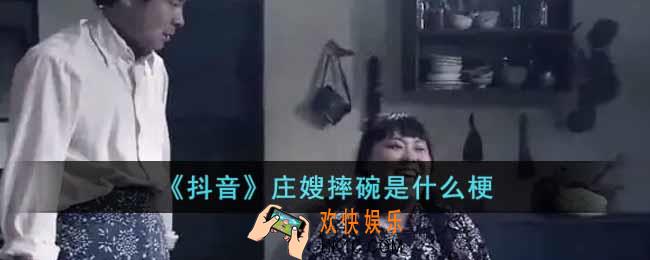抖音庄嫂摔碗是什么梗