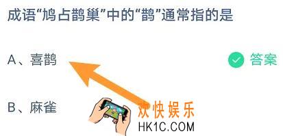 成语鸠占鹊巢中的鹊通常指的是