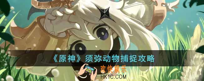 原神须弥动物怎么抓
