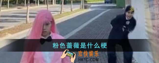 粉色蔷薇是什么梗