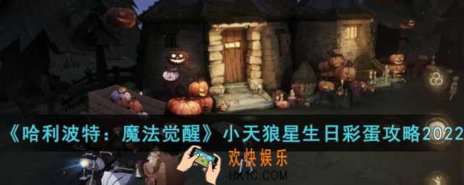 哈利波特魔法觉醒11.3小天狼星生日彩蛋在哪里
