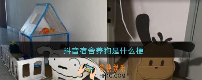 抖音宿舍养狗是什么梗