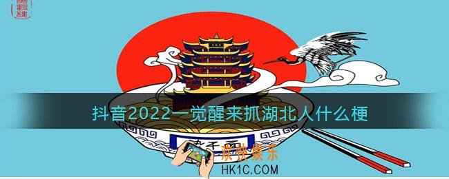 抖音2022一觉醒来抓湖北人什么梗/意思