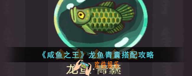咸鱼之王龙鱼青囊怎么搭配
