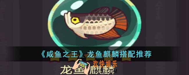 咸鱼之王龙鱼麒麟怎么搭配