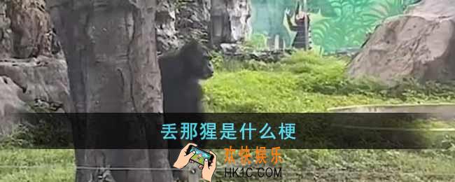 抖音南宁动物园丢那猩梗是什么意思