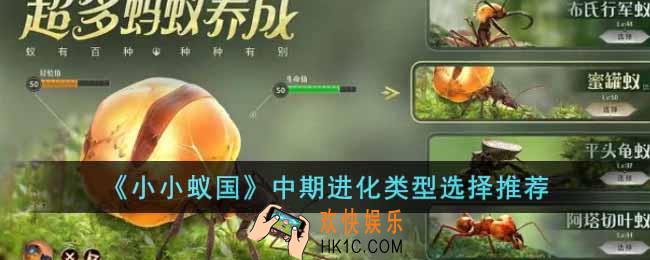小小蚁国中期进化选择什么类型