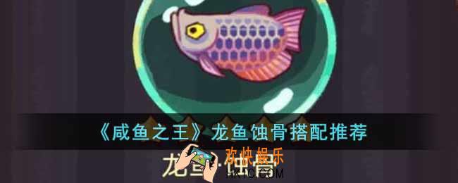 咸鱼之王龙鱼蚀骨怎么搭配
