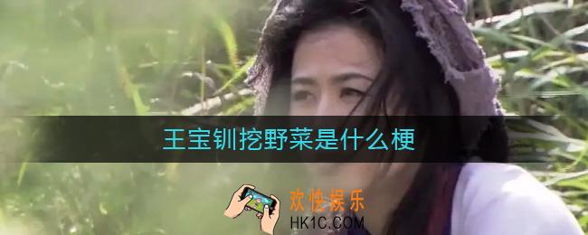 王宝钏挖野菜是什么梗