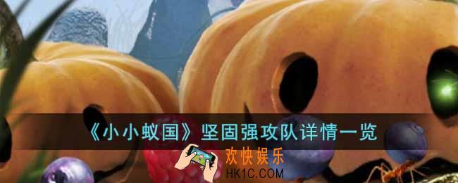 小小蚁国坚固强攻队怎么样