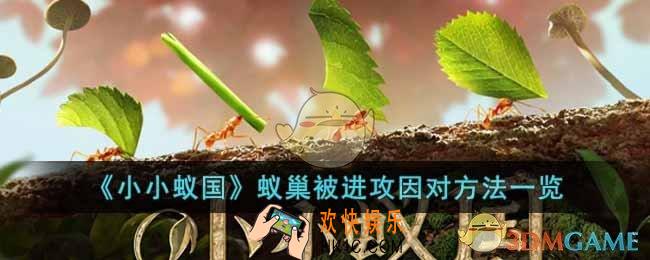 小小蚁国蚁巢被进攻怎么办