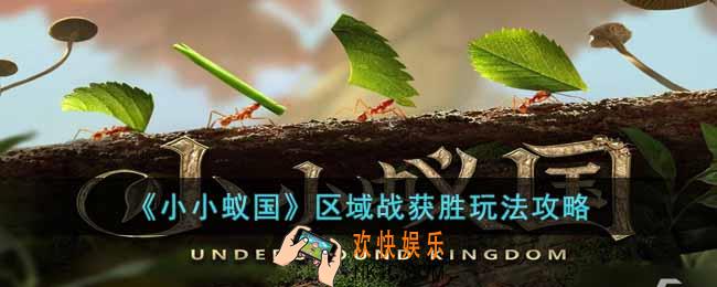 小小蚁国最强区域战怎么玩