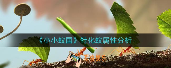 小小蚁国特化蚁属性是什么