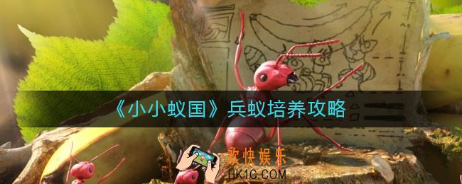 小小蚁国兵蚁怎么培养
