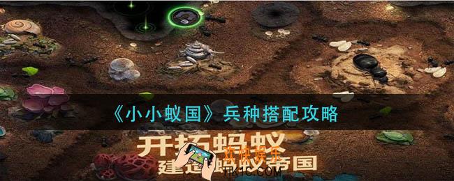 小小蚁国兵种怎么搭配