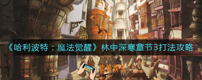 哈利波特魔法觉醒林中深寒第三章怎么打