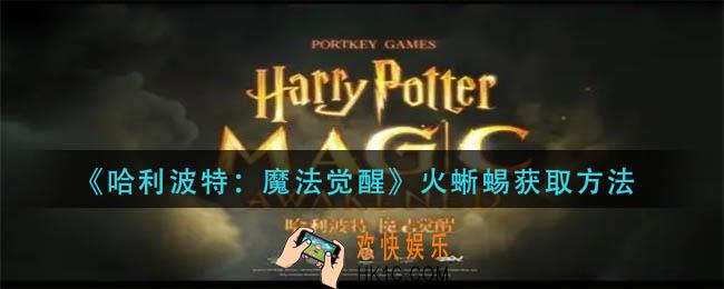 哈利波特魔法觉醒火蜥蜴怎么获得
