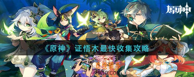 原神证悟木在哪里