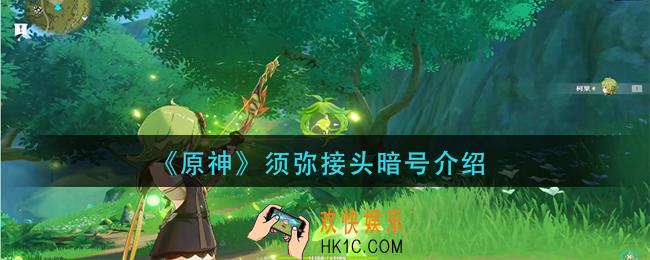 原神须弥接头暗号是什么