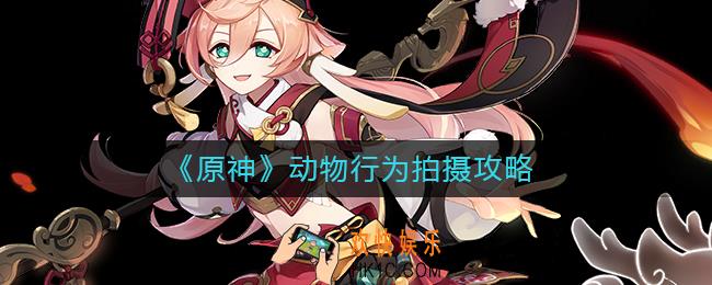 原神动物行为怎么拍摄