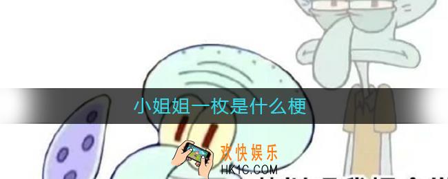 小姐姐一枚是什么梗