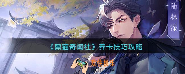 黑猫奇闻社怎么养卡