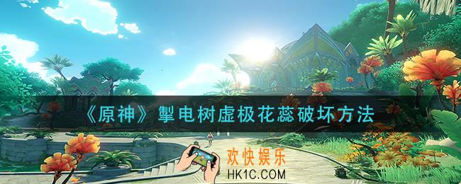 原神掣电树虚极花蕊怎么破坏