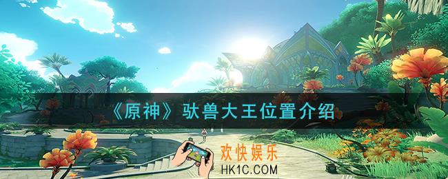 原神驮兽大王在哪里
