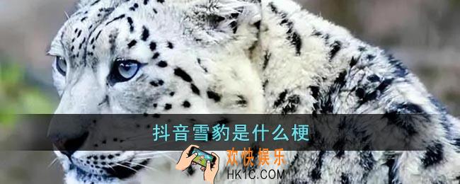 抖音雪豹是什么梗